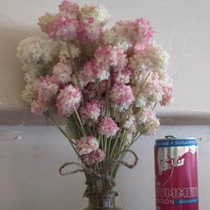 Meet your Posher, Kaitlyn